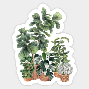 House Plants 8 Sticker